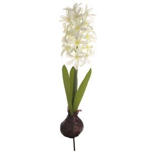 HYACINTH ON BULB CREAM 34CM from Country Baskets