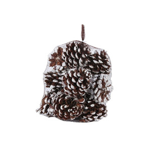 White Tipped Pinea Cones (12pcs) (1/6)  White Tipped Pinea Cones (12pcs) (1/6)