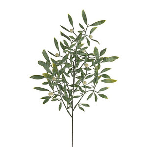 Exterior Mistletoe Stem