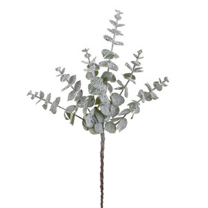 Frosted Eucalyptus Spray46cm from Country Baskets