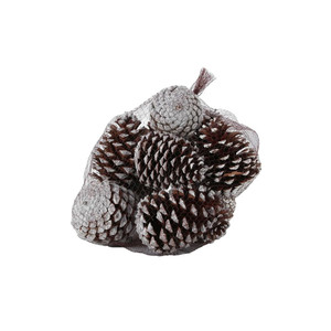 White Tipped Maritima Cones (12pcs) (1/6) from Country Baskets