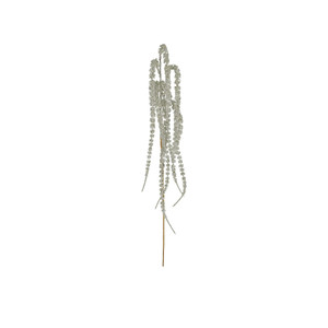 Glitter Amaranthus Spray (Champagne) (24/288)