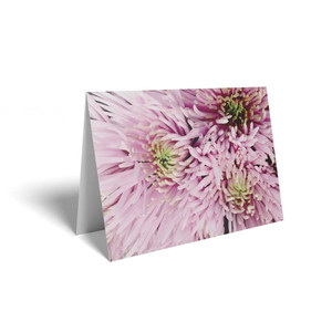 Folded Card  Spray Pink Chrysanthemum