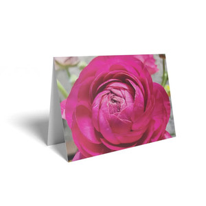 Folded Card  Deep Pink Rose Folded Card  Deep Pink Rose