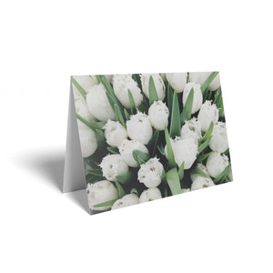 Folded Card  White Tulips