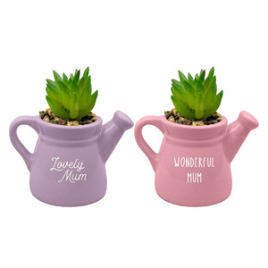 Mother's Day Ceramic Watering Can Ornament 11.5cm 2 Assort from Country Baskets Mother's Day Ceramic Watering Can Ornament 11.5cm 2 Assort from Country Baskets