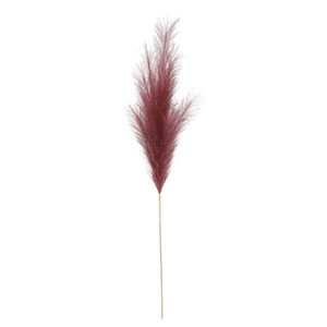 Luxury Pampas Dusky Rose 15 Heads Luxury Pampas Dusky Rose 15 Heads