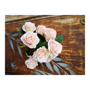 Antique Rose Bush Peach from Country Baskets Antique Rose Bush Peach from Country Baskets