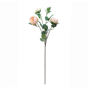 Tintagel Vintage English Rose Spray Peach