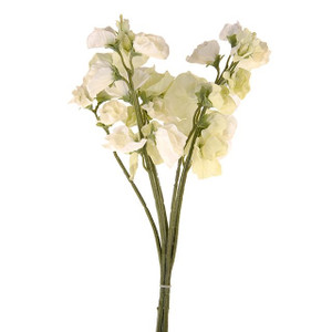 Sweet Pea Bunch Cream 42Cm from Country Baskets