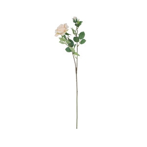 Tintagel Spray Rose Cream