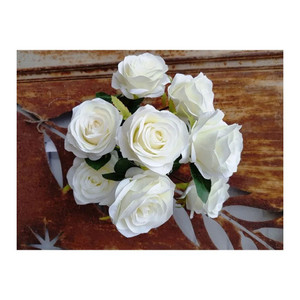 Antique Rose Bush Cream from Country Baskets