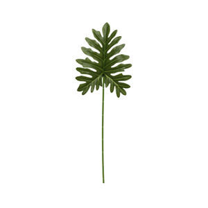 Philo leaf 60cm 