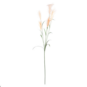 Pampas Grass Brown (145cm) Pampas Grass Brown (145cm)