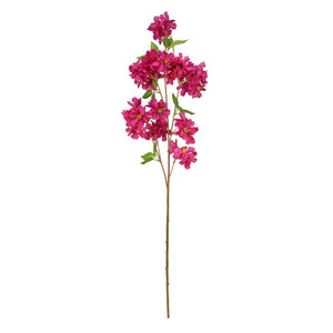 Essential Apple Tree Blossom - Dark Pink Essential Apple Tree Blossom - Dark Pink