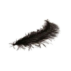 Black Ostrich Feathers (pk5)