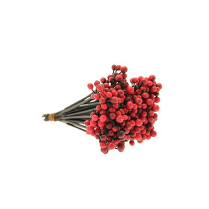 7"" Red Plastic Berryx50 (20/200 7"" Red Plastic Berryx50 (20/200