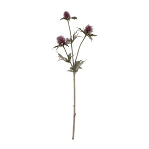Thistle Spray Purple 44 cm from Country Baskets Thistle Spray Purple 44 cm from Country Baskets