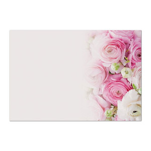 Oasis Sc Blank Pk Wh Ranunculus X50 Oasis Sc Blank Pk Wh Ranunculus X50