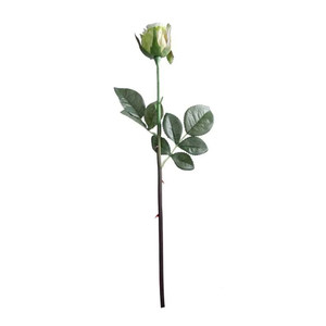 Oxford Rose Bud Light Green from Country Baskets