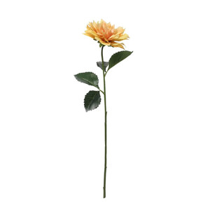 Glamis Single Dahlia With 2 Leaves Yellow (61Cm)