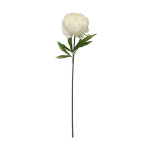Glamis Single Peony Cream (62Cm) Glamis Single Peony Cream (62Cm)