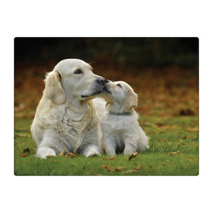GOLDEN RETRIEVERS - WORKTOP SAVER - RURAL ROOTS from Country Baskets