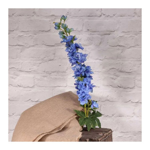 Cottage Garden Delphinium Blue from Country Baskets Cottage Garden Delphinium Blue from Country Baskets
