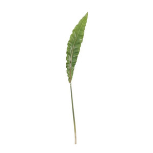 Asplenium Leaf 90 cm from Country Baskets