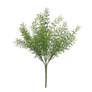 Exterior Everlast 38cm Asparagus Plant U.V from Country Baskets