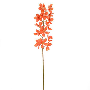 Fiesta Orchid Orange 72 cm from Country Baskets
