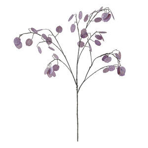 Silver Dollar Spray Pink 110cm from Country Baskets