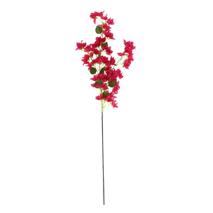 Essential Bougainvillea Spray -Pink
