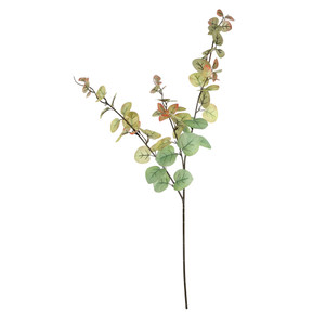 Essential Autumn Eucaylyptus Stem - Green/Red 