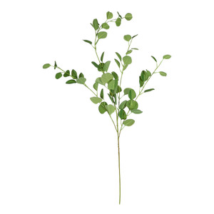 Eucalyptus Spray - 109cm from Country Baskets