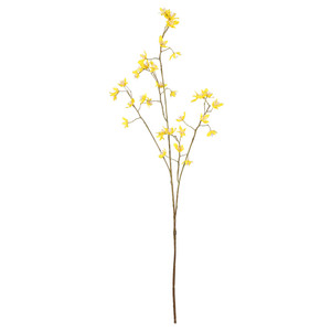 Euphorbia Spray - 94cm from Country Baskets
