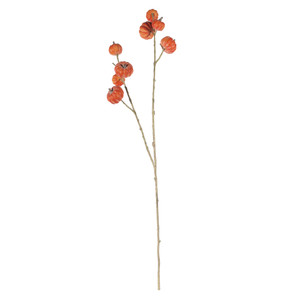 Cushaw Spray - 97cm