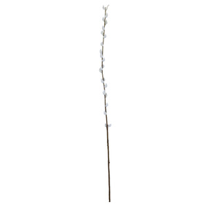 Single Pussy Willow - 89cm from Country Baskets