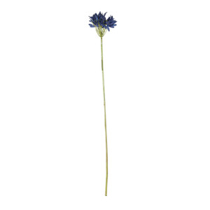 Agapanthus Stem - Dark Blue - 77cm