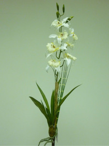 66cm Orchid Bush Cream