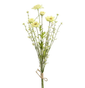 54cm Daisy/Grass x5 Bundle Cream