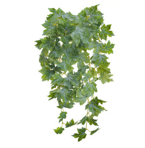 68cm Trailing Maple Leaf Bush
