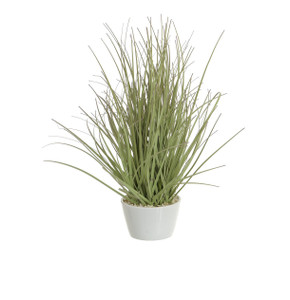 26cm Grass w/Ceramic Pot Purple