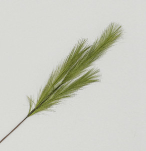 82cm Pampas Grass Spray Green