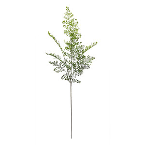 Long Stem Spray Wall Rue Fern 35.5x15x106cm