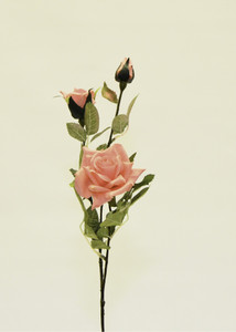Rose Spray Peach