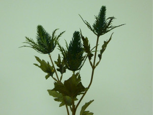 67cm Eryngium Spray x3 Blue/Green