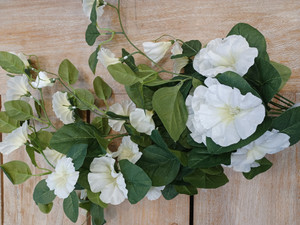 65cm Petunia Hanger Cream
