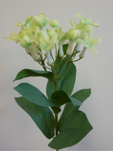 55cm Stephanotis Spray Lt Green