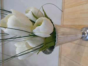 Tulip Bunch Cream